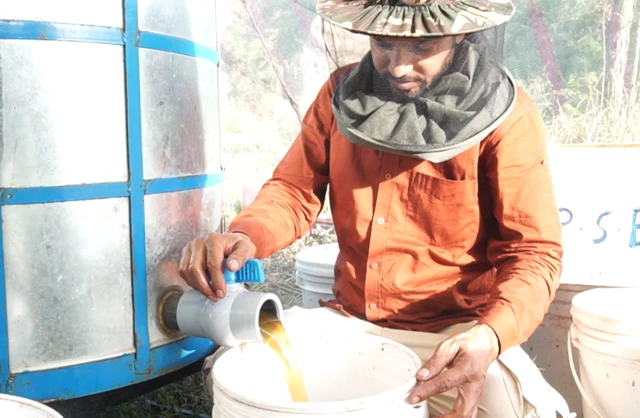 ਸ਼ਹਿਦ ਕੰਟੇਨਰਾਂ ਵਿੱਚ ਭਰ ਰਹੇ ਸ਼ਖਸ ਦੀ ਤਸਵੀਰ