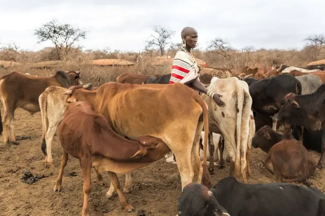 مسائی خواتین