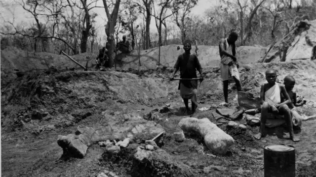 ગુજરાત ડાયનાસોર