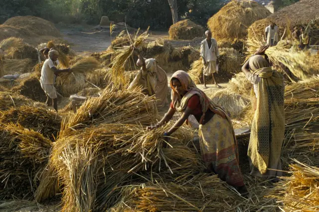 పేదరికం