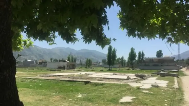 د اسامه کور