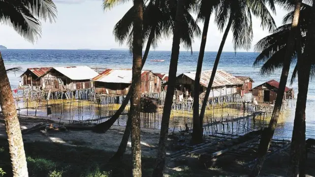 비악은 숲이 무성한 섬이 될까, 우주 강국의 보고가 될까?