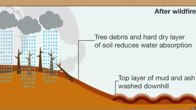 ਕੈਲੀਫੋਰਨੀਆ ਵਿੱਚ ਗਾਰੇ ਦੇ ਹੜ੍ਹ