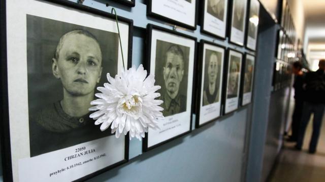 在波兰克拉科夫展出的在奥斯威辛集中营遇难者的照片