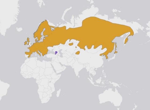 Mapa de distribución de la ardilla roja.