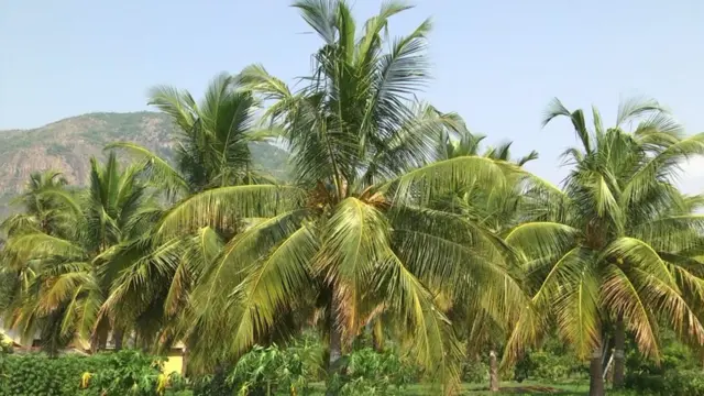 அகதிகளாக மறுச் செய்யும் நிலை தேவையில்லை-குமுறும் நிலவரம்பட்டி மக்கள்