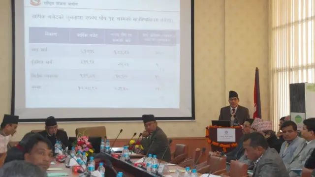 विकास बजेट