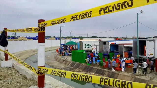 Muro
