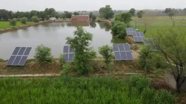 ਪਾਕਿਸਤਾਨੀ ਪੰਜਾਬ ਦੇ ਖੇਤ