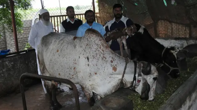 पहली बार मोबाइल लैब तकनीक से पैदा हुआ देश में टेस्ट ट्यूब बछड़ा