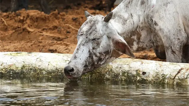 నీరు