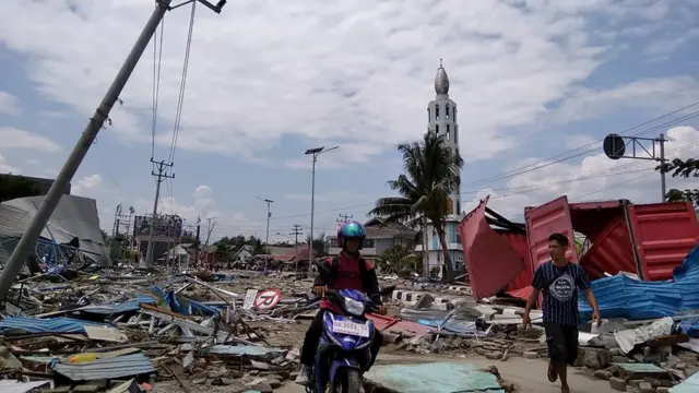 Katta mushukning fotosurati