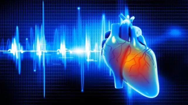 Una ilustración digital del corazón humano