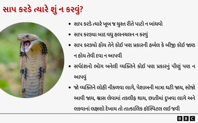 સાપ ડંખ, ઝેર રસી, કિંગ કોબ્રા, રસલ્સ વાઇપર, ખડચિતળો, કોમન ક્રૅટ, ફૂરસો પૈડકું, ડંશથી બચવા શું કરવું, 