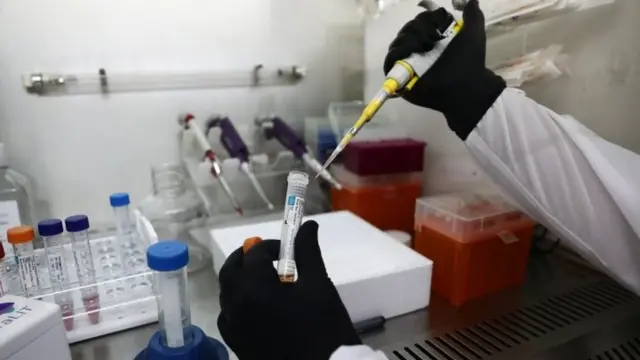 koronavirus