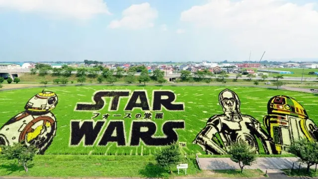 Рисові картини