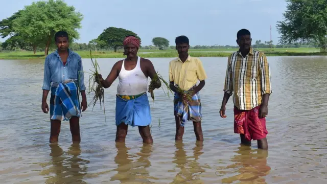 மணலி பகுதியில் மழையில் மூழ்கிய பயிர்களை காட்டும் விவசாயிகள்