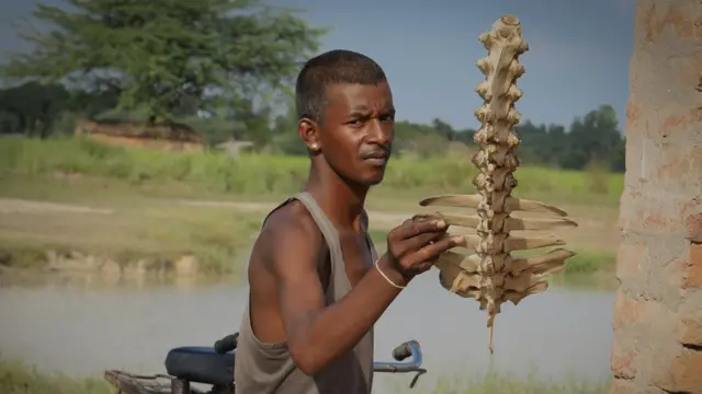 हड्डियां