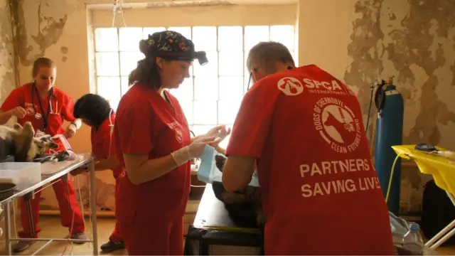 Волонтери в операційній