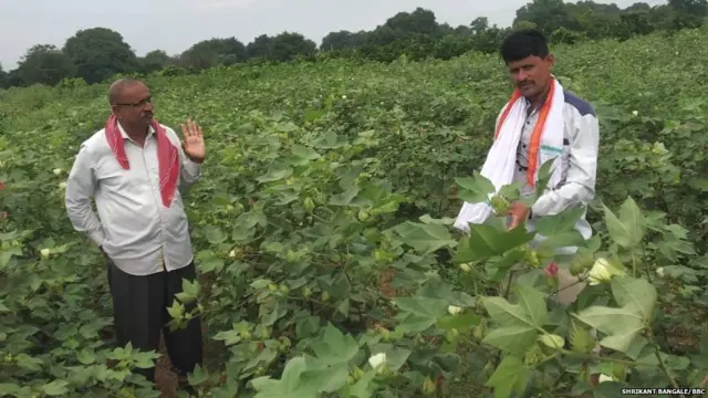 प्रयोगशील शेतकरी दीपक जोशी यांच्या शेतातील एसआरटीचा प्रयोग पाहण्यासाठी इतर गावांहून शेतकरी येत असतात.