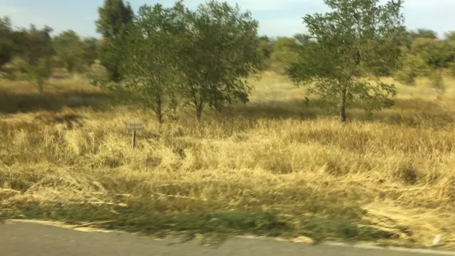 Граница с Крымом, таблички с надписью "Miни"