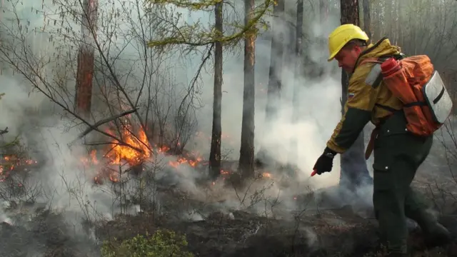 тушение пожара в Якутии