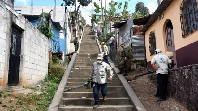 许多病毒与罕见的神经系统疾病格林-巴利综合症有关。一种是寨卡病毒，它可能导致2015年病例激增。(Credit: Getty Images)