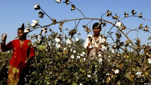 ਕੀਟਨਾਸ਼ਕ