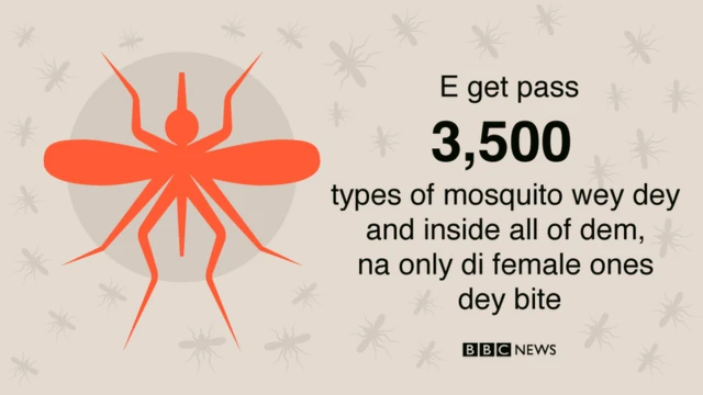 Statistics about mosquito