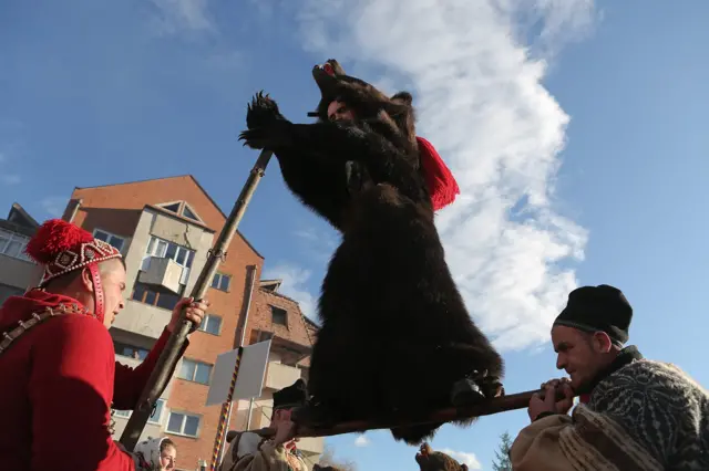 Igra medveda se odvija prema unapred definisanom scenariju koji ima određenu simboliku a čiju kulminaciju predstavlja čin “uskrsnuća”: učesnik u medveđem kostimu staje na štap na kojem ga zatim druga dvojica podižu na ramena.