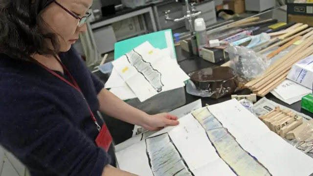 أشجار يابانية عتيقة "تتنبأ" بالمستقبل