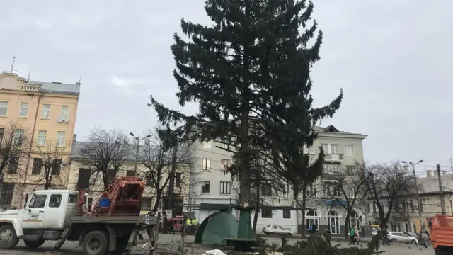 ялинка, чернівці