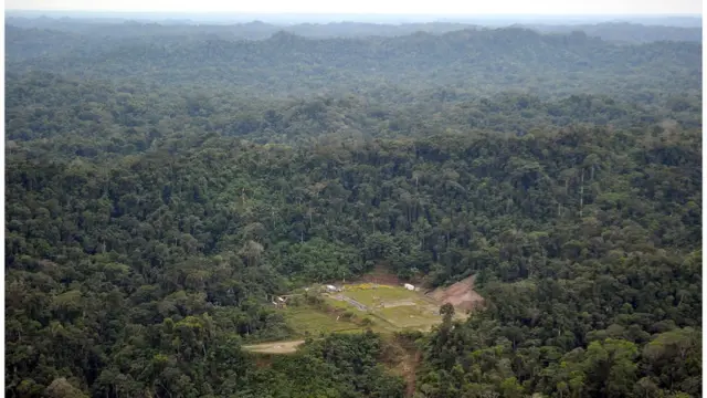 Selva amazónica peruana