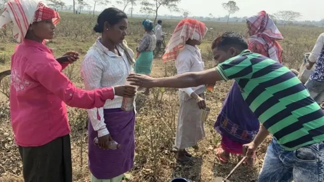 असम विधान सभा चुनाव के बारे में जानिए सब कुछ