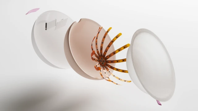 Foto de las partes de la copa de un sostén.