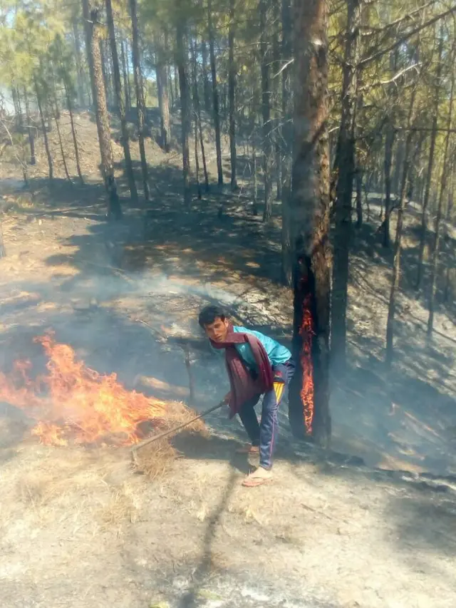 उत्तराखंड