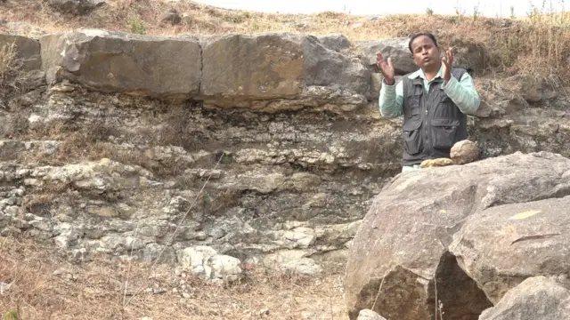 Dinosaur India Madhya Pradesh Dhar Narmada