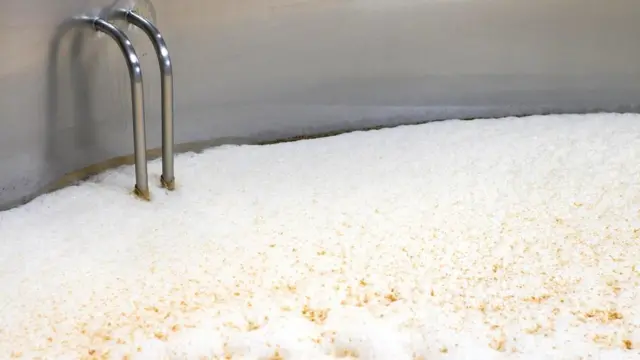 Пиво, которое мы пьем сегодня, - это результат многовековых экспериментов с одним из главных его компонентов - дрожжами