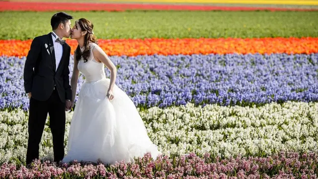 Сімейна пара