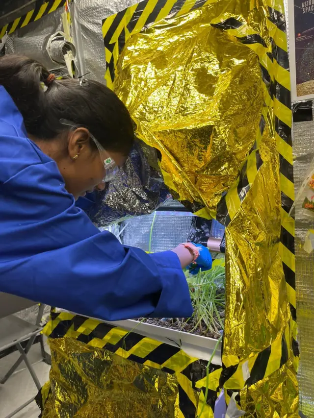 జాహ్నవీ దంగేటి