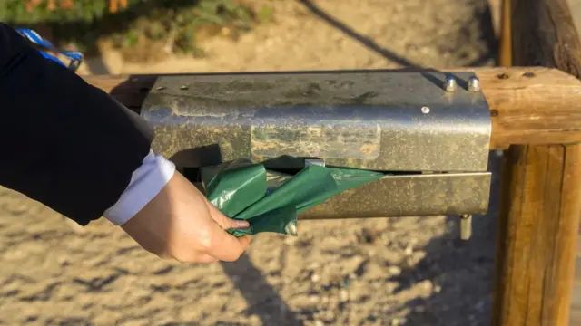 По-видимому, и бизнес на мешках для сбора собачьих экскрементов приносит немалый доход