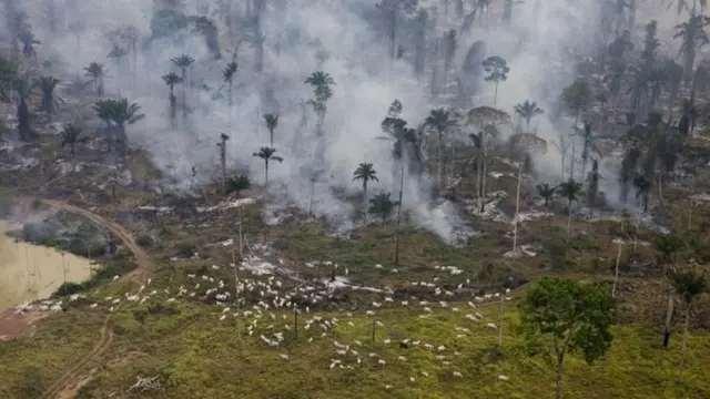 Imagem aérea mostra parte da Floresta Amazônicacasino 5 euro no deposit bonuschamas