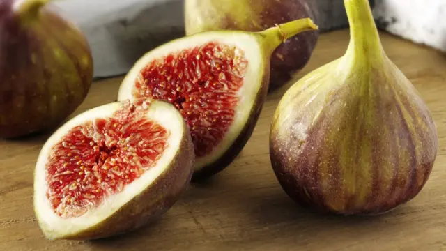 Buah fig