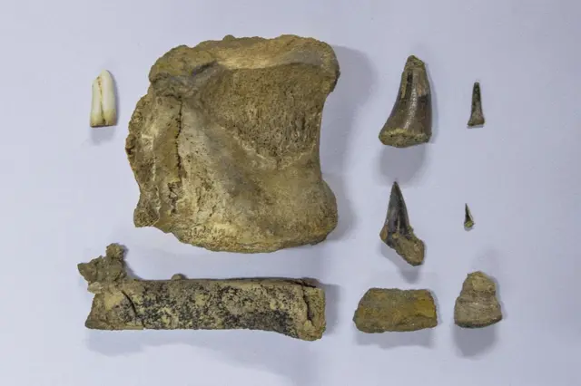 क्रेम पुरी