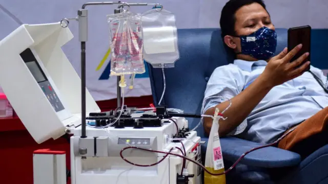 donor plasma konvalesen