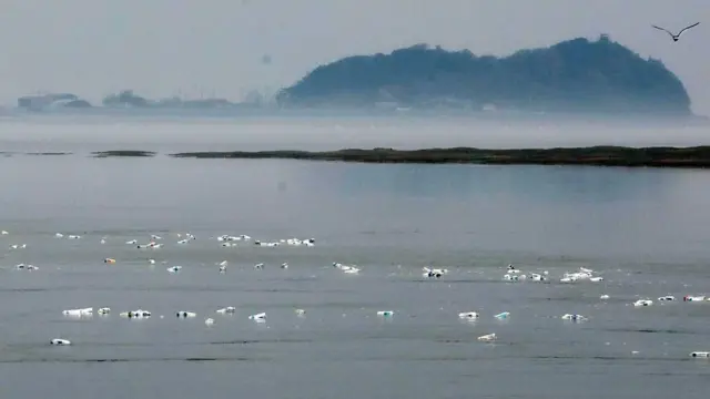 1일 인천 강화군 석모도 앞바다에 북한 인권단체들이 북에 보내려고 쌀과 USB 등을 담은 페트병이 떠내려 가고 있다