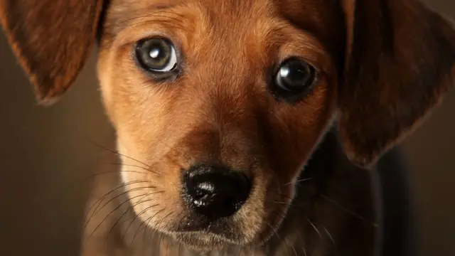 పరాజయం ఓటమి గెలుపు విజయం Failure loss win winner friendship