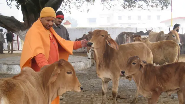 यूपी का गोहत्या विरोधी क़ानून