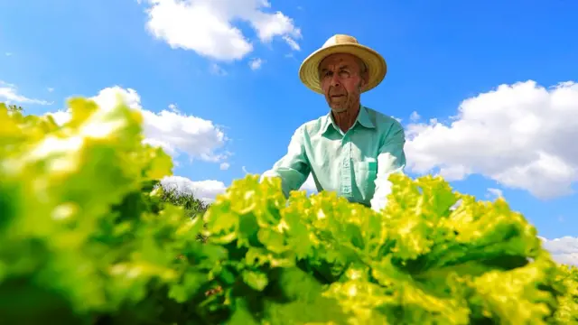 Agricultor no Paraná