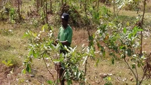 महेश्वर